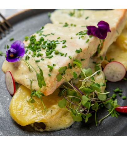 Salmón al cremoso de eneldo 2