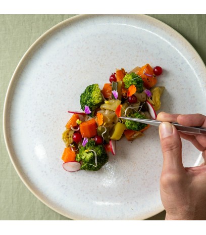 Verduras salteadas a la provenzal 2