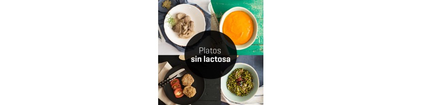 Platos sin lactosa a domicilio