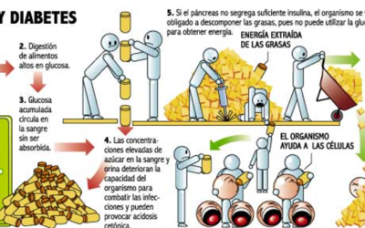 Dieta sin gluten: alimentos prohibidos y menú semanal