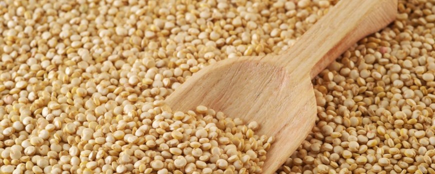 Quinoa: propiedades, consejos y recetas. Pruébala con Miplato
