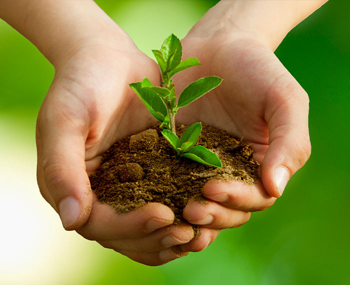 ecologico ecologico