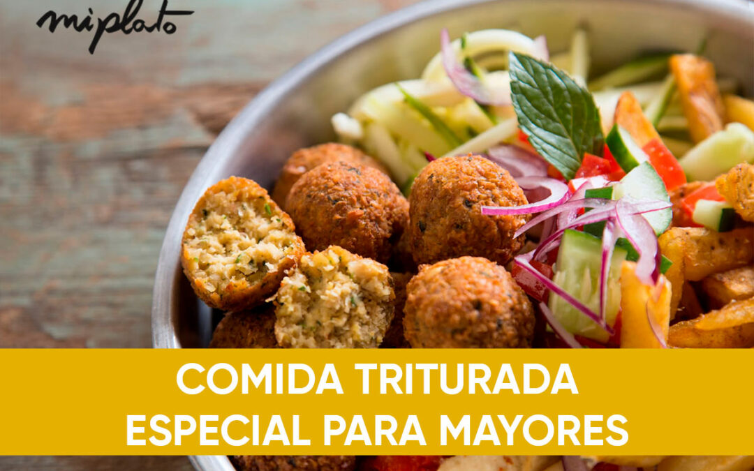 Recetas de comida triturada para personas mayores