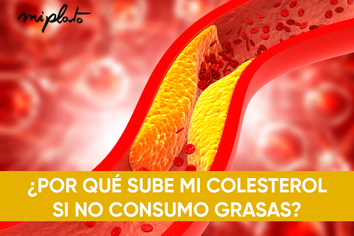 ¿Por qué sube el colesterol si no como grasas?
