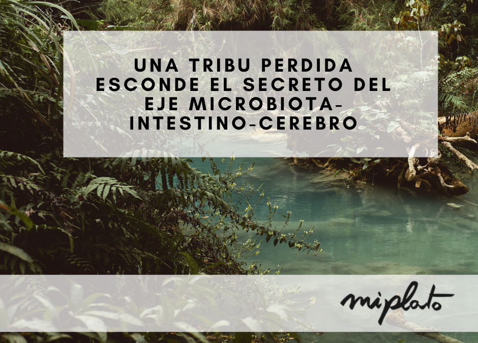 Una tribu perdida esconde el secreto del eje microbiota-intestino-cerebro
